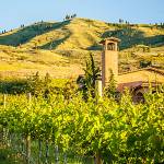 Chardonnay is a top player in these four Washington wines