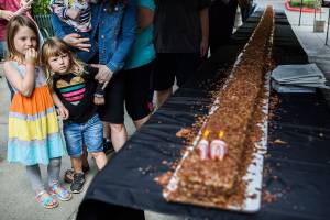 40-foot long maple bar invades Mill Creek and is devoured