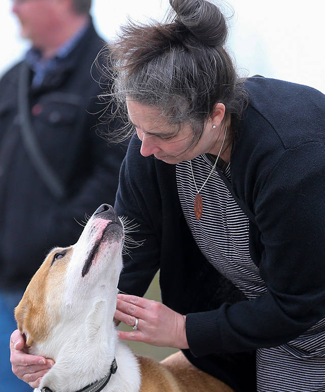 Christi Hnat greets her dog Darwin at Point Edwards Park in Edmonds on April 4. (Kevin Clark / The Herald)