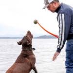 No leashes required: 6 great dog parks in Snohomish County