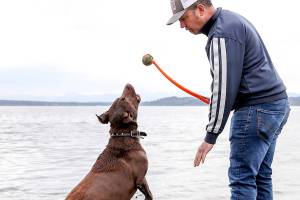 No leashes required: 6 great dog parks in Snohomish County