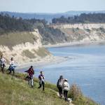 Hikers make their way along the Bluff Trail at Ebeys Landing near Coupeville on Whidbey Island. At its highest point, the bluff sits about 260 feet above sea level, providing stunning views of the Strait of Juan de Fuca and Olympic Mountains. (Ian Terry / Herald file)