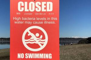 3 million gallons of untreated sewage flows into Puget Sound