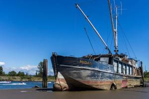 State could seize 100-foot boat stuck in Snohomish River