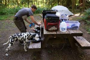 Drew Bakgaard cleans up after breakfast as his dog Luka licks a skillet, which Drew calls the pre-rinse cycle, while camping at Gold Basin Campground on Friday. (Andy Bronson / The Herald)