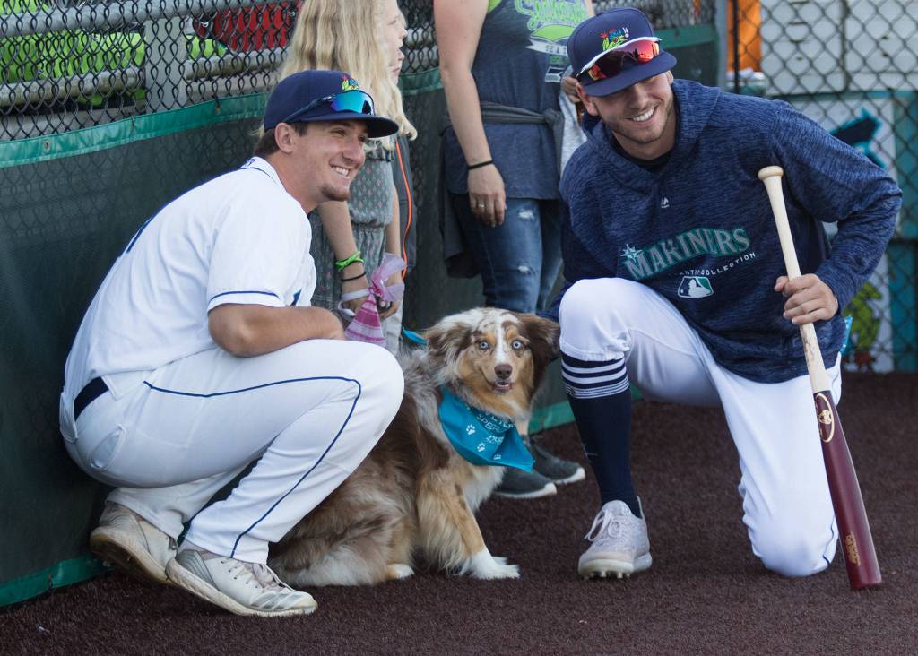 AquaSox players pose with a dog at the Bark in the Park event at Funko Field on Monday, July 22, 2019 in Everett, Wash. (Andy Bronson / The Herald)