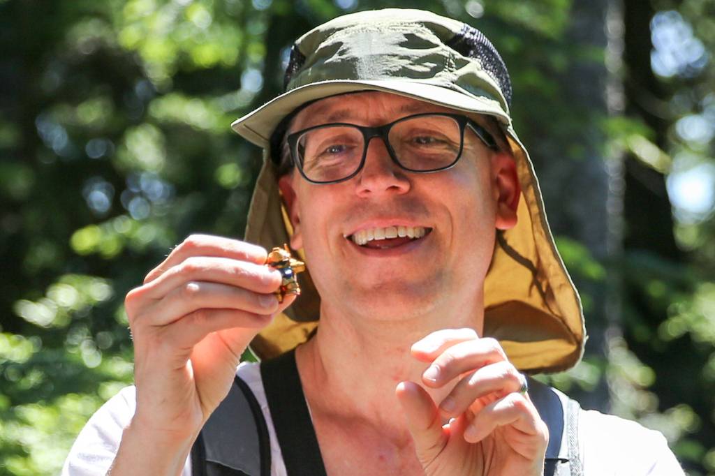 Rich Schleifer examines swag from the GCD geocache on Mount Margaret. (Kevin Clark / The Herald)