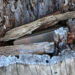 The search party also found three other geocaches on the Mount Margaret trail. (Kevin Clark / The Herald)