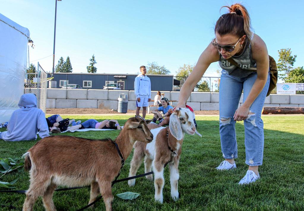 Monica Preder pets baby goat Harold before the Proud Pet Show on Friday afternoon during Lake Stevens Aquafest. (Kevin Clark / The Herald)