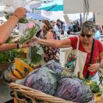Nancy Cody shops at an Everett Farmers Market produce stand Sunday morning, the first day at its new location after years at Port of Everett property, in Everett. (Kevin Clark / The Herald)
