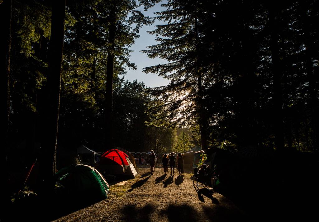 People walk through the forest during the first day of Summer Meltdown on Thursday, Aug. 1, 2019 in Darrington, Wash. (Olivia Vanni / The Herald)