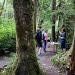 Leslie Holmes (right) gives a brief talk on the native plants at Wallace Falls State Park in Gold Bar. (Kevin Clark / The Herald)