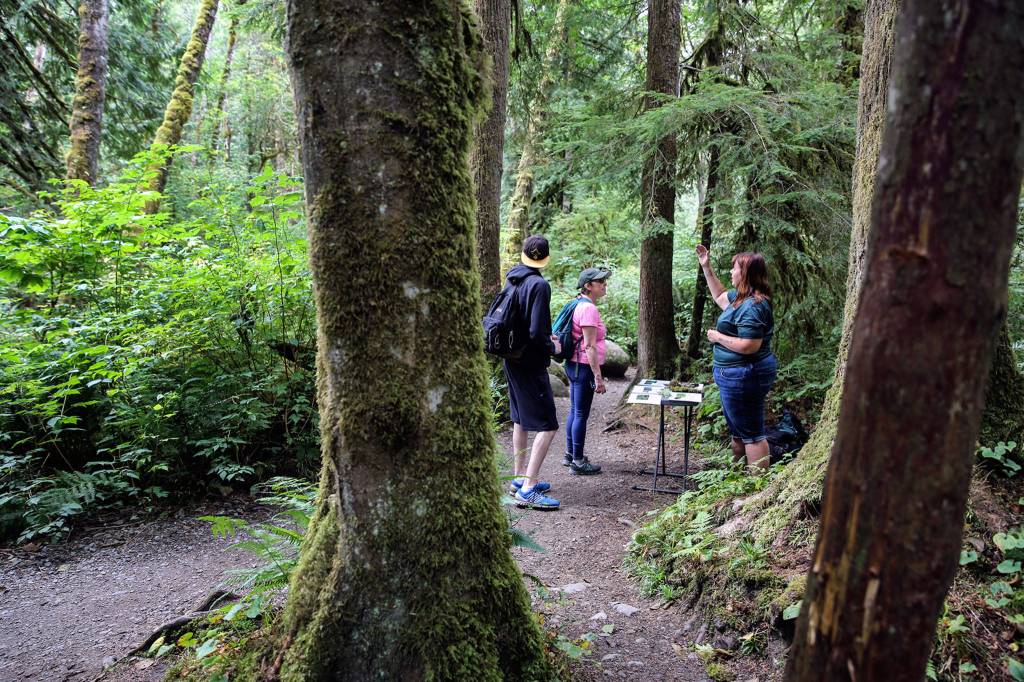 Leslie Holmes (right) gives a brief talk on the native plants at Wallace Falls State Park in Gold Bar. (Kevin Clark / The Herald)