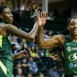 Scenes of the Seattle Storms final regular season home game against the Dallas Wind Thursday evening at Angel of the Wings in Everett on August 8, 2019. The Storm won 69-57. (Kevin Clark / The Herald)