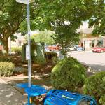 The bus stop on State Avenue in Marysville where a grandmother and her two granddaughters were injured Aug. 10. (Marysville Police Department)