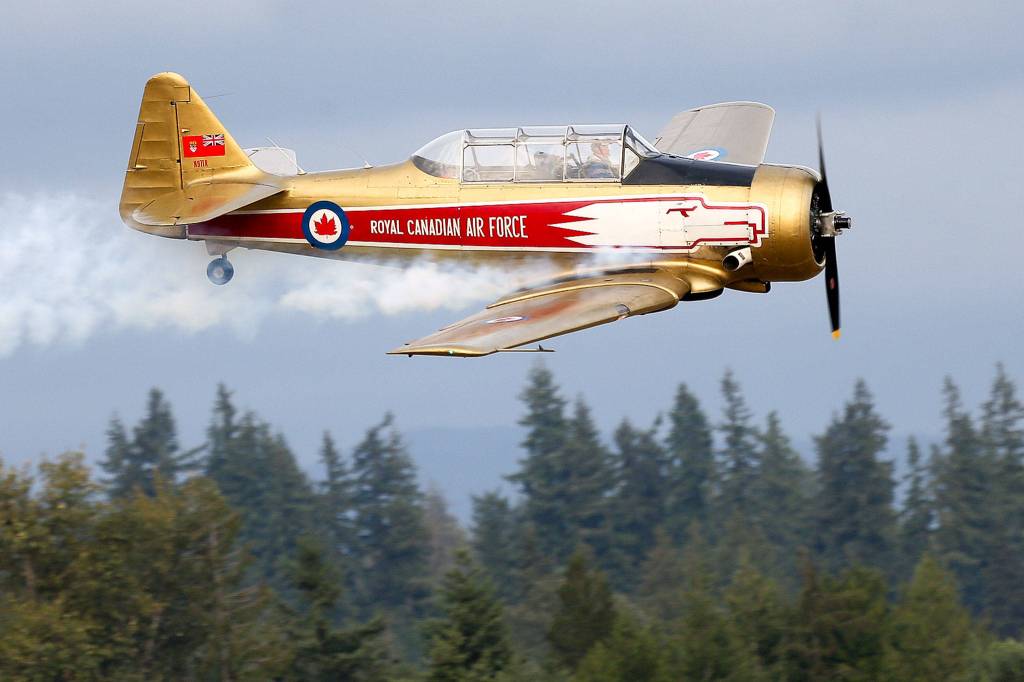 A Royal Canadian Air Force plane flies above the treetops at the Arlington Fly-in at Arlington Municipal Airport on Friday evening. (Kevin Clark / The Herald)