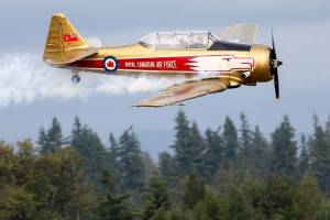 Gallery: Flying high during the Arlington Fly-in