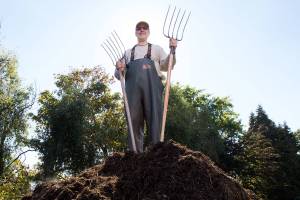 A steaming pile of poo compost, from non-primate herbivores, is the end result at the Woodland Park Zoo, which calls the finished compost Zoo Doo. It is sold to customers through a lottery system. (Andy Bronson / The Herald)