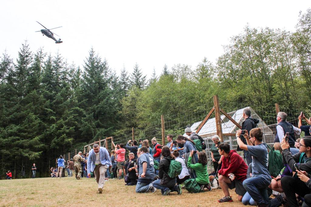 Dozens of young people watch as a helicopter soars overhead Wednesday at Camp Killoqua in Stanwood. (Stephanie Davey / The Herald)