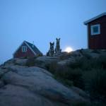 Dogs sit outside a home in Kulusuk, Greenland, early in the morning Aug. 15. Greenland has been melting faster in the last decade. This summer, it has seen two of the biggest melts on record since 2012. (AP Photo/Felipe Dana)