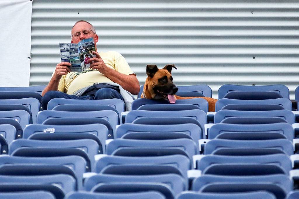 Dogs are welcomed to the AquaSox game Tuesday evening as part of Bark in the Park 2 at Funko Field at Everett Memorial Stadium in Everett on August 20, 2019. (Kevin Clark / The Herald)