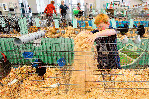 Gallery: Finishing touches for the Evergreen State Fair