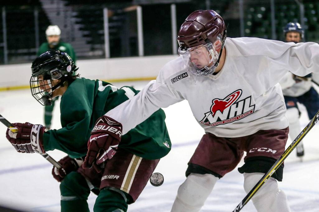 Ryder Ringor (left) and Zach Nicholls vie for a loose puck during Silvertips training camp on Aug. 22, 2019, at Angel of the Winds Arena in Everett. (Kevin Clark / The Herald)