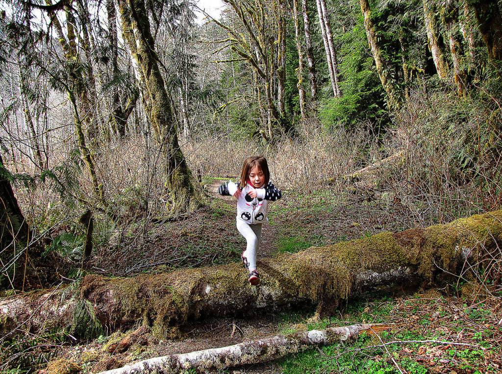 Hazel Loerch leaps off a log covering a trail while on a hike with her mother in 2015. (Jessi Loerch / Herald file)