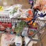 Shopping from the USDAs MyPlate sample grocery list is trickier than it sounds, especially when the four gallons of milk fall out of the cart. (Jennifer Bardsley)