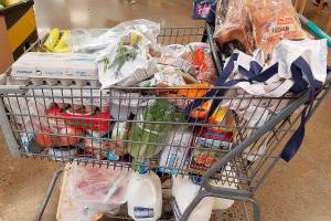 Grocery shopping with MyPlate’s Thrifty Meal Plan in mind