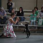 A girl works with her dog during competition on the opening day of the Evergreen State Fair on Thursday, Aug. 22, 2019 in Monroe, Wash. (Andy Bronson / The Herald)