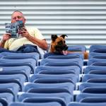 Dogs are welcomed to the AquaSox game as part of Bark in the Park 2 at Funko Field in Everett on Aug. 20. (Kevin Clark / The Herald)