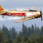 Scenes from the Arlington Fly-in at Arlington Municipal Airport on Aug 26. (Kevin Clark / The Herald)