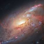 Astronomer: ‘Magic’ nights make Hawaii best telescope site