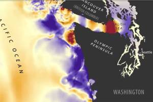 Videos simulate tsunami waves on Washington coast, San Juans