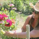 Anderson Farm generational family member Tamara Knapp admires her dahlia fields in late August. (Wendy Leigh / South Whidbey Record)