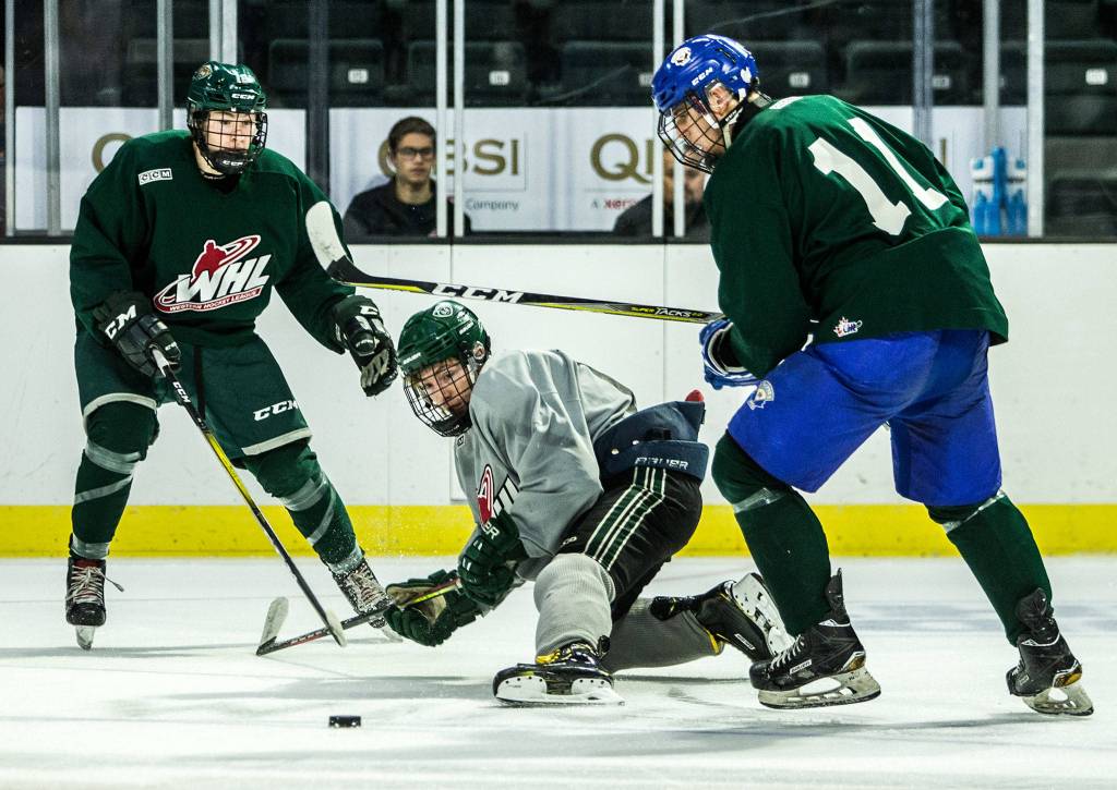 Jack Lambert (center) scrambles for the puck with Nate Goodbrandson (left) and Blake Setter (right) during the Slivertips annual Green and Grey scrimmage Aug. 25 in Everett. (Olivia Vanni / The Herald)