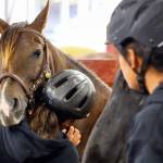 Campers wait to exit the stables during the Warm Beach Horseman Camp in Stanwood on Sept. 8. (Kevin Clark / The Herald)