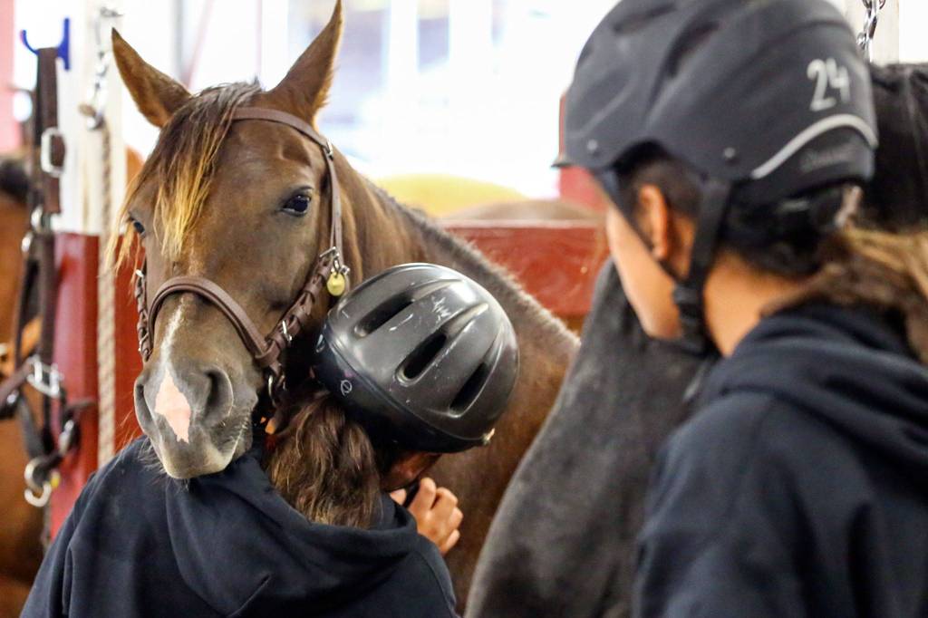 Campers wait to exit the stables during the Warm Beach Horseman Camp in Stanwood on Sept. 8. (Kevin Clark / The Herald)