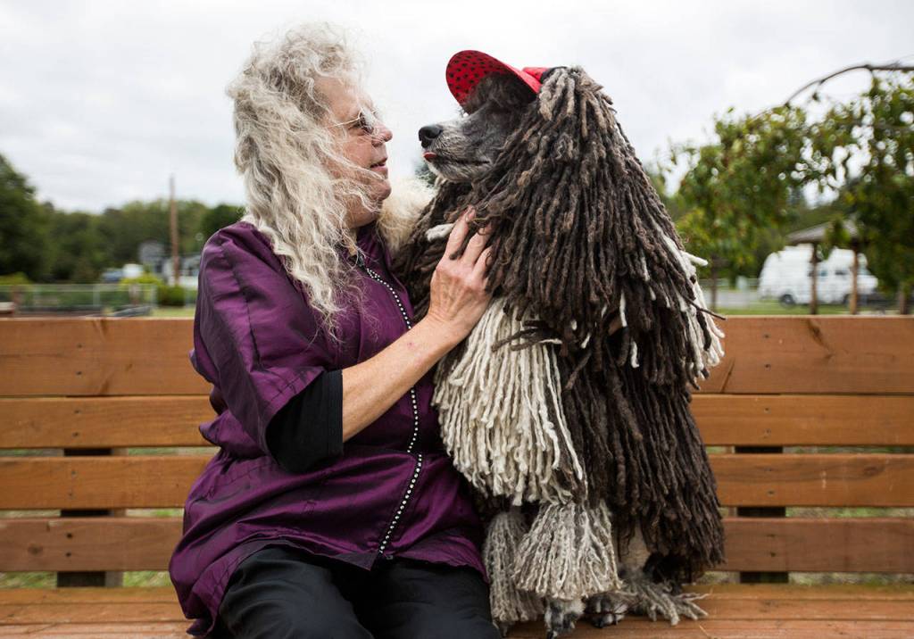 Laurie Cecil with her dog Rielley, 7, at Freeland Park (Olivia Vanni / The Herald)
