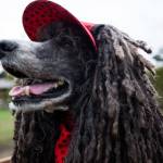 Rielley wears a custom hat and bandana at Freeland Park. (Olivia Vanni / The Herald)