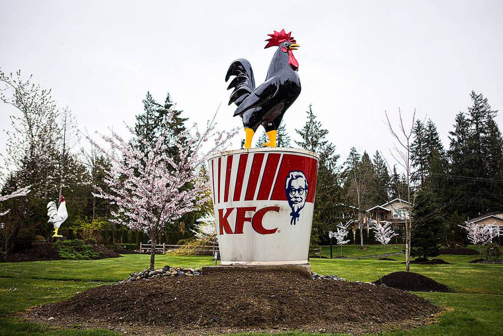 A large chicken sits on top of a KFC bucket on the NardoLand grounds. (Olivia Vanni / The Herald)