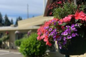 When you’re not ready to go home from the hospital…