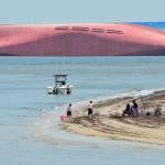 As people bathe on Jekyll Islands Driftwood Beach, the Golden Ray cargo ship sits capsized in the background, off the Georgia coast Sunday. (AP Photo/Terry Dickson)