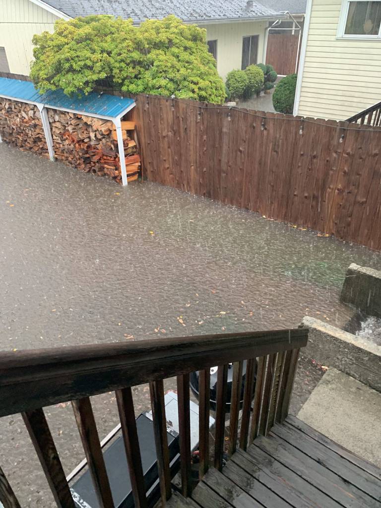 More than an inch of rain was measured in one hour, causing swamping of back yards like this one in the Northwest Neighborhood. (Erin Davidson)