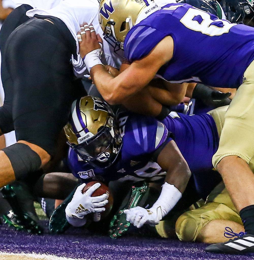 Washingtons Richard Newton squeezes under the pile for a touchdown Saturday evening at Husky Stadium in Seattle on September 14, 2019. Husky won 52-20. (Kevin Clark / The Herald)