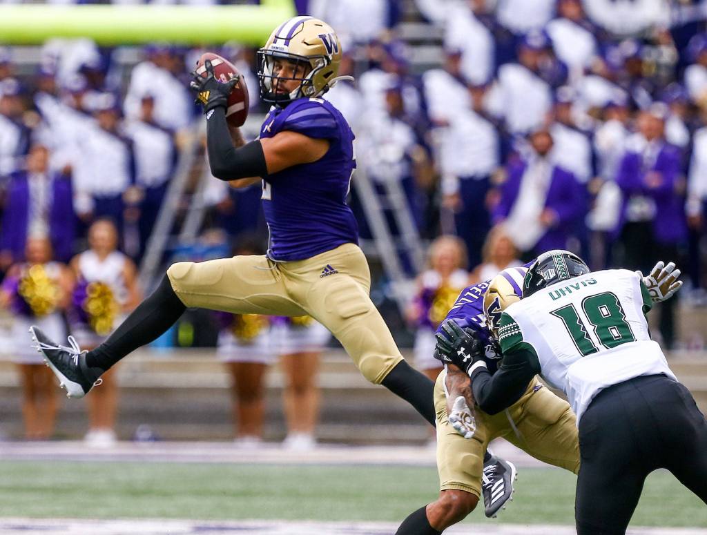 Washingtons Arron Fuller makes a reception Saturday evening at Husky Stadium in Seattle on September 14, 2019. Husky won 52-20. (Kevin Clark / The Herald)