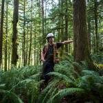 Tyson Whiteid stands in a large patch of ferns on Wednesday where a proposed road will be placed for the Middle May timber cut near Gold Bar, Wash. (Olivia Vanni / The Herald)