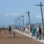 From the new pier, people walk dogs while watching the Grand Avenue Park Bridge slowly rotate into place on Wednesday in Everett. (Andy Bronson / The Herald)