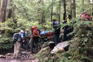 Falling tree injures 69-year-old hiker on Lake 22 trail